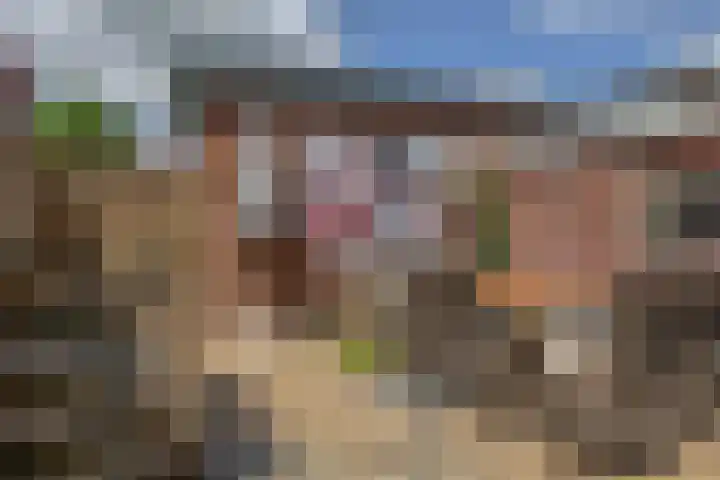 Nieuwstraat 33 Stad aan 't Haringvliet thumbnail 31