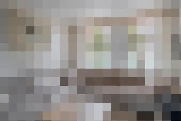 Nieuwstraat 33 Stad aan 't Haringvliet thumbnail 9