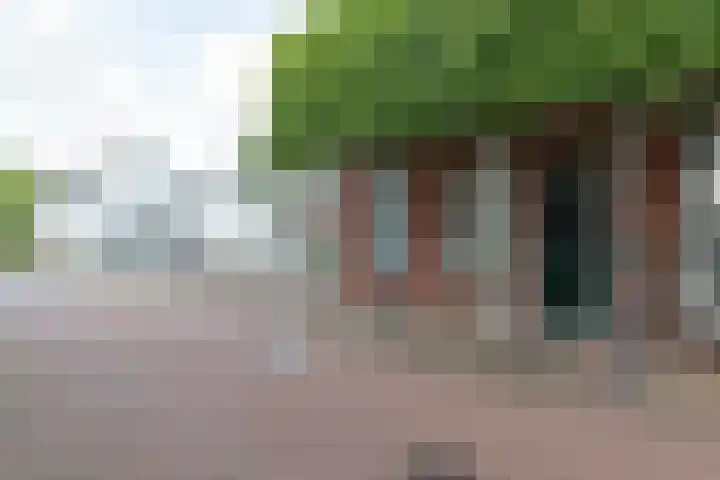 Nieuwstraat 33 Zuidhorn thumbnail 32
