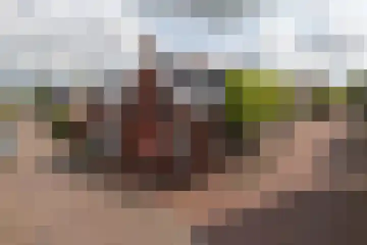 Nieuwstraat 33 Zuidhorn thumbnail 35