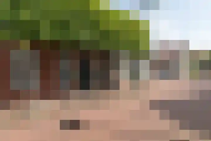 Nieuwstraat 33 Zuidhorn thumbnail 6