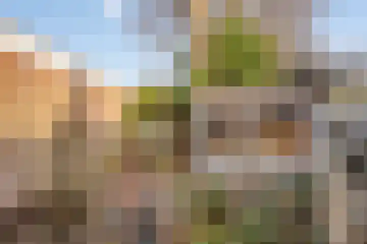 Nieuwstraat 34 Beek en Donk thumbnail 29
