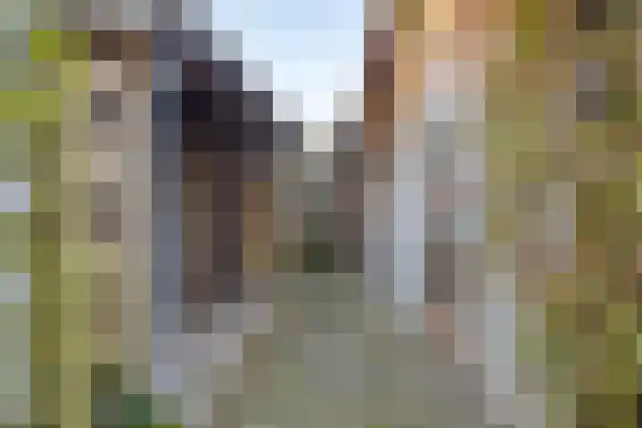 Nieuwstraat 34 Beek en Donk thumbnail 31