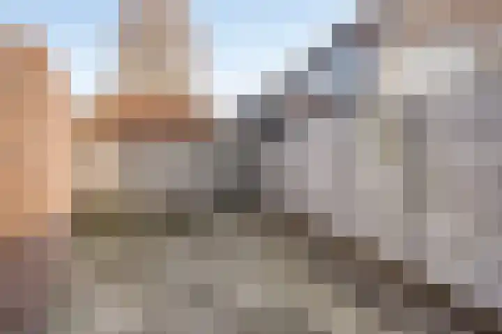 Nieuwstraat 34 Beek en Donk thumbnail 35