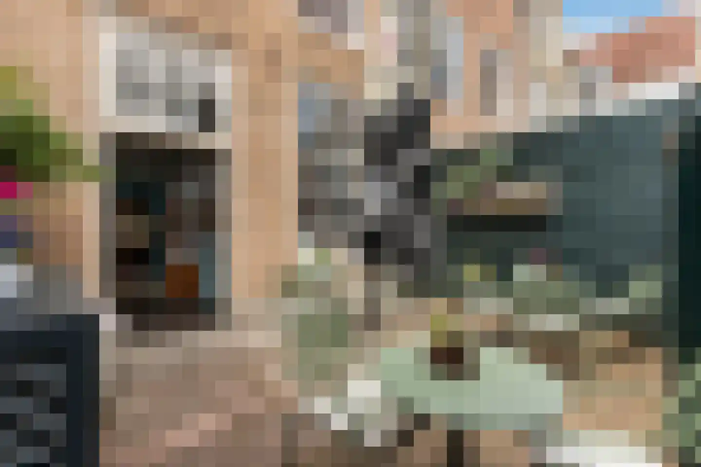 Nieuwstraat 34 Dordrecht thumbnail 38