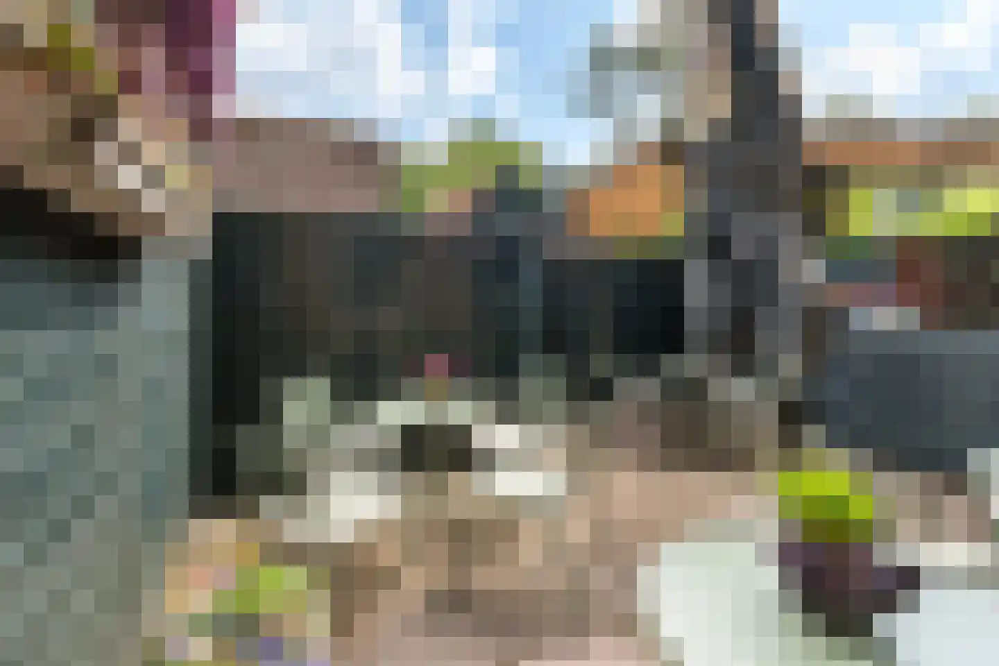 Nieuwstraat 34 Dordrecht thumbnail 39