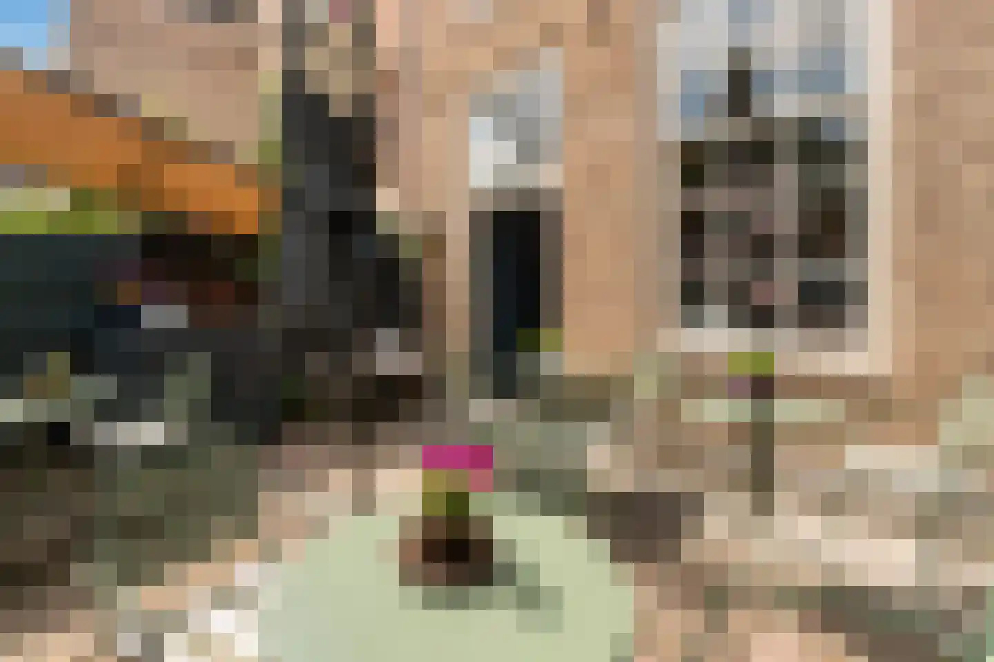 Nieuwstraat 34 Dordrecht thumbnail 41