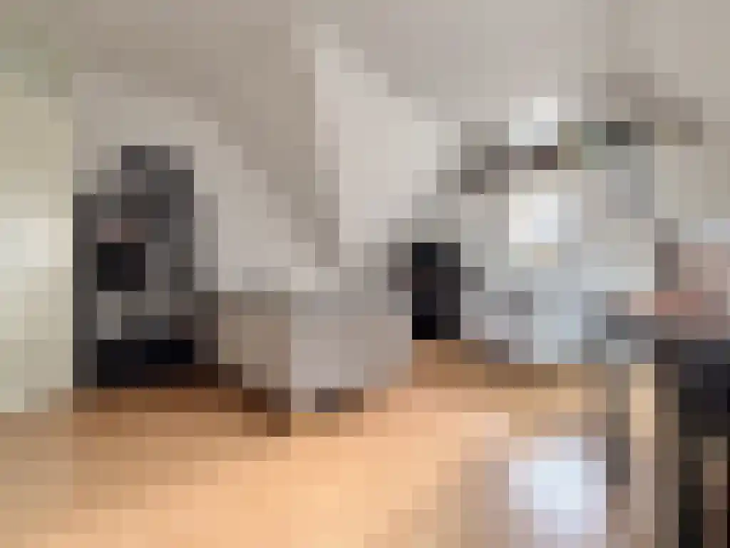 Nieuwstraat 34 Zwolle thumbnail 5