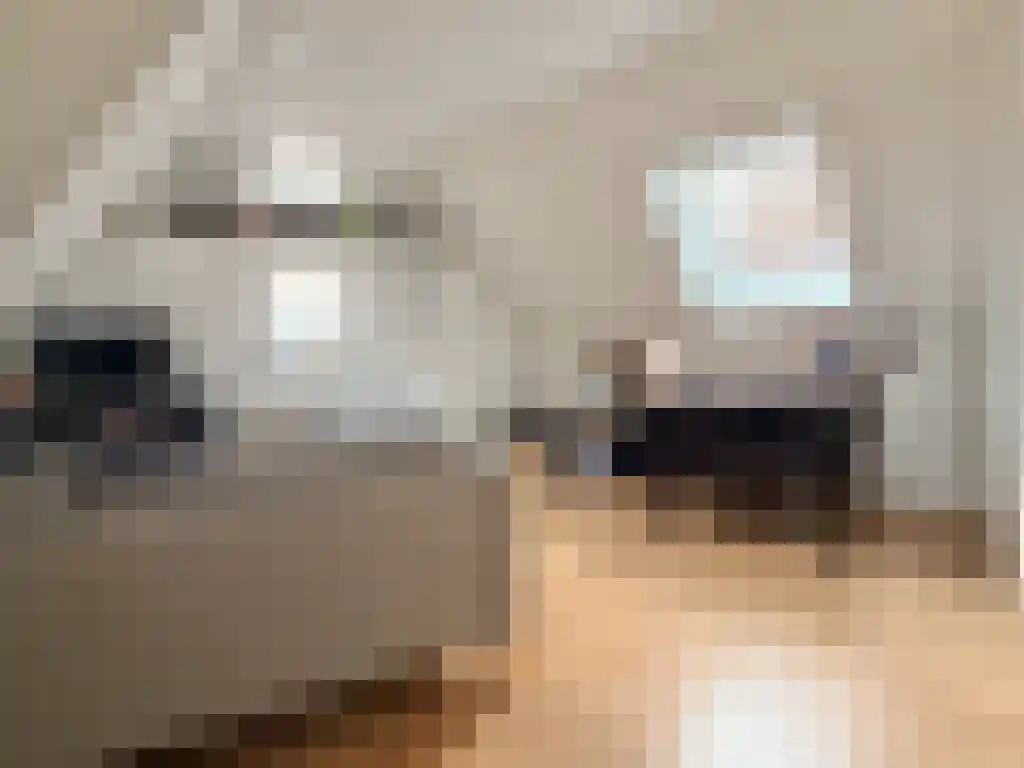 Nieuwstraat 34 Zwolle thumbnail 6
