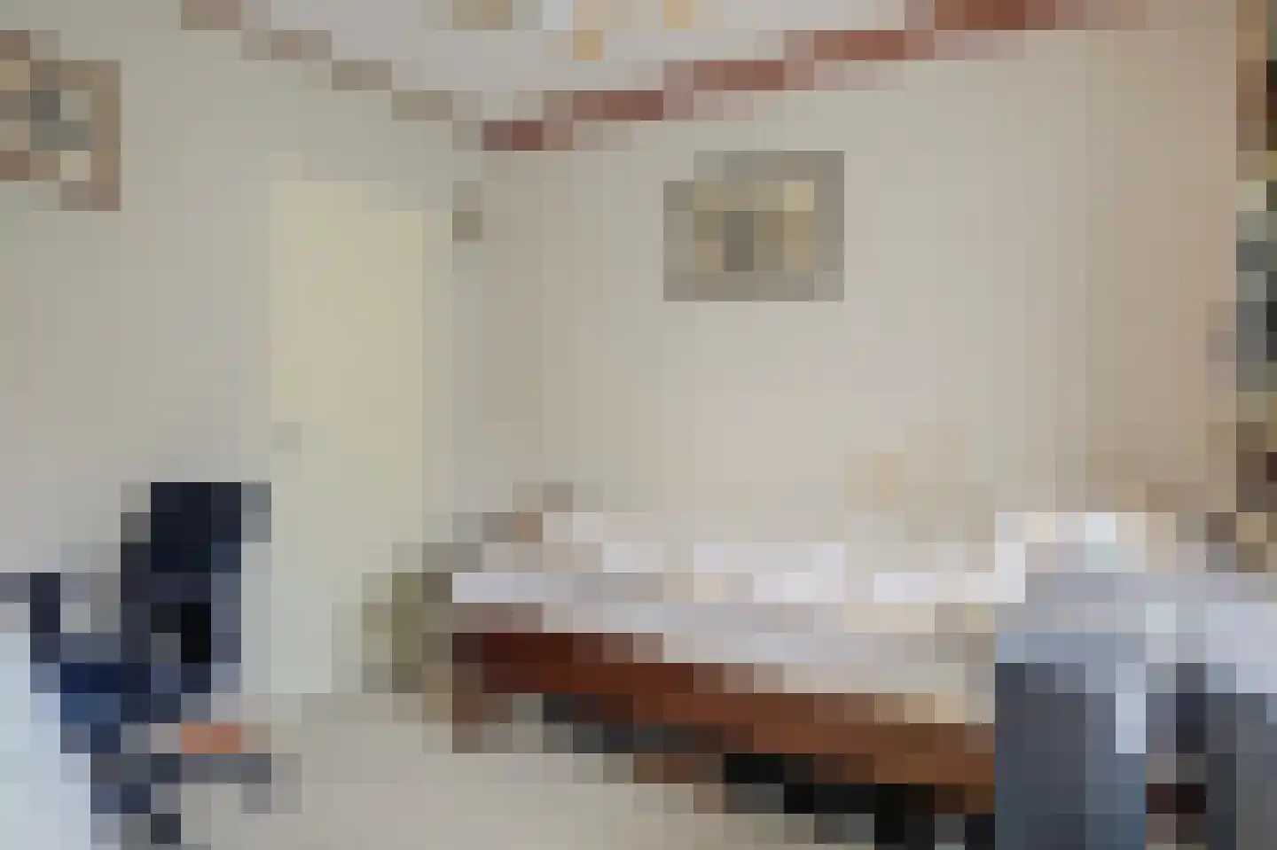 Nieuwstraat 35 Ameide thumbnail 17