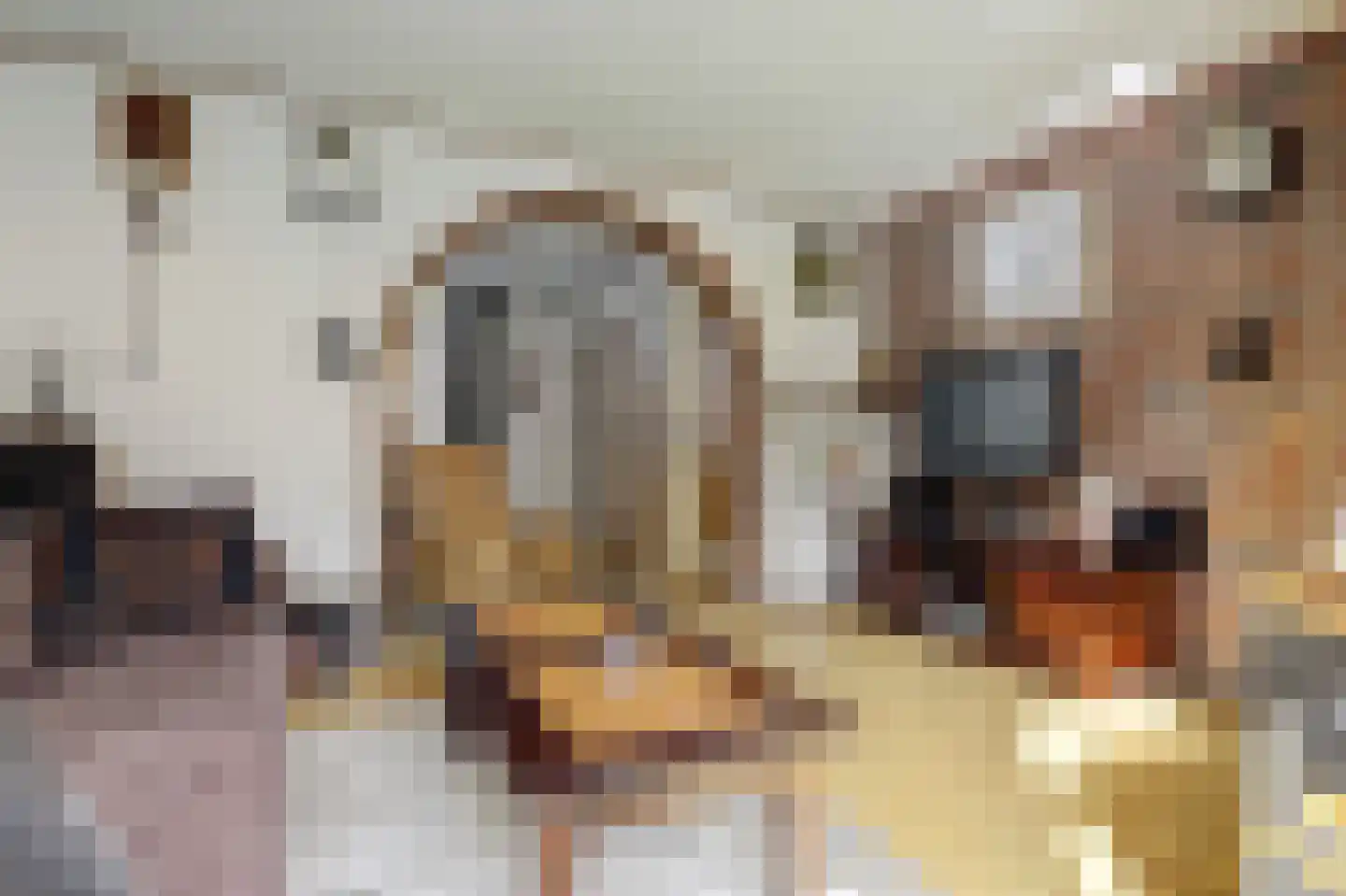 Nieuwstraat 35 Ameide thumbnail 6