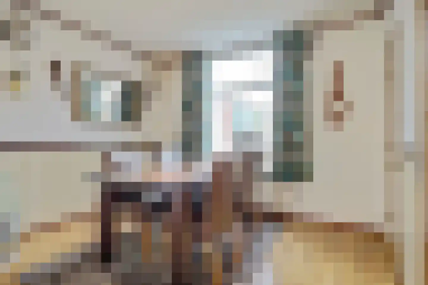 Nieuwstraat 35 Ameide thumbnail 7