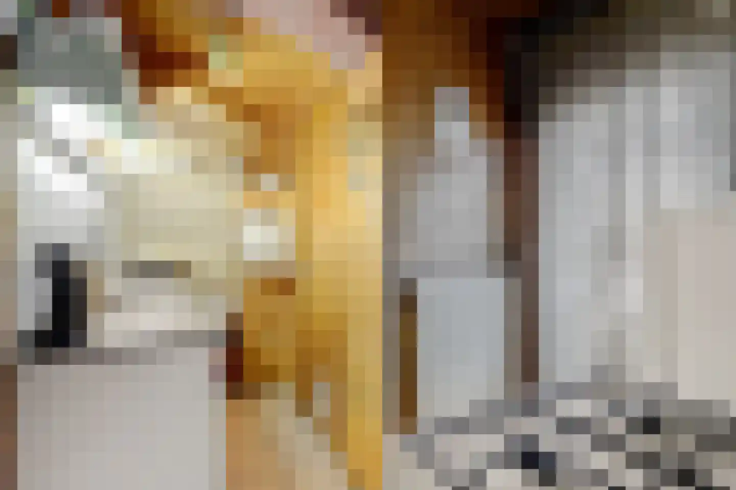 Nieuwstraat 35 Ameide thumbnail 9