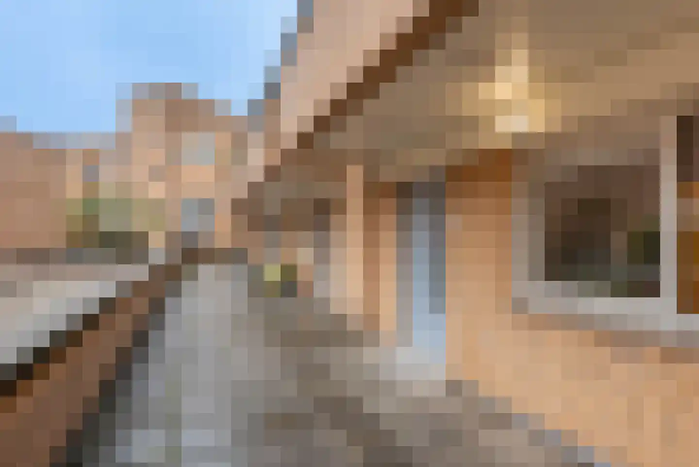 Nieuwstraat 35 Eindhoven thumbnail 68