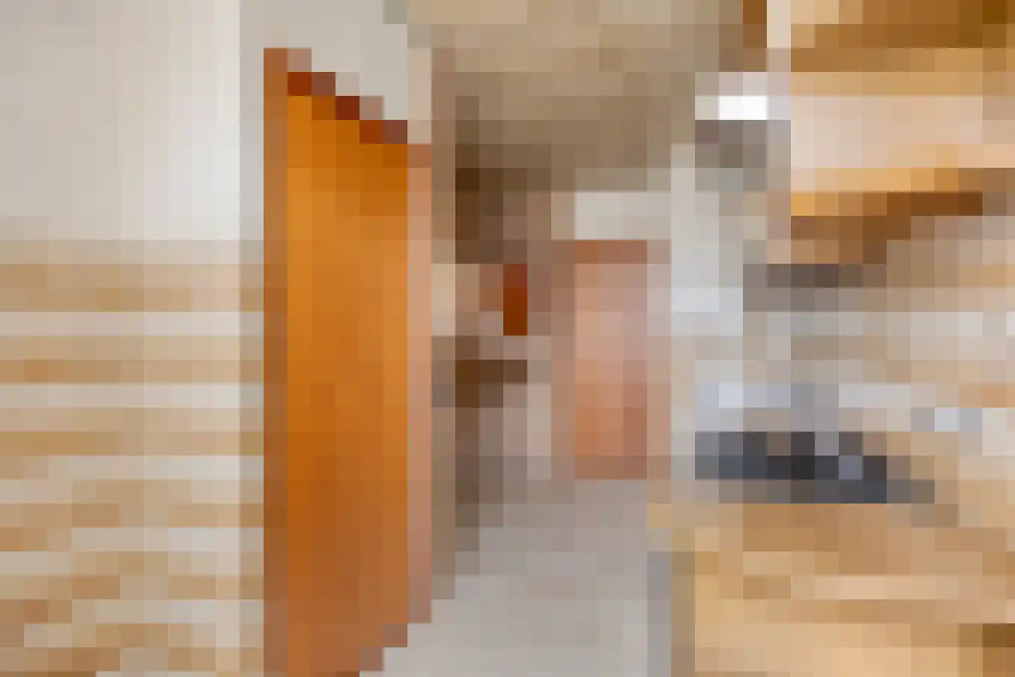 Nieuwstraat 35 Lage Zwaluwe thumbnail 17