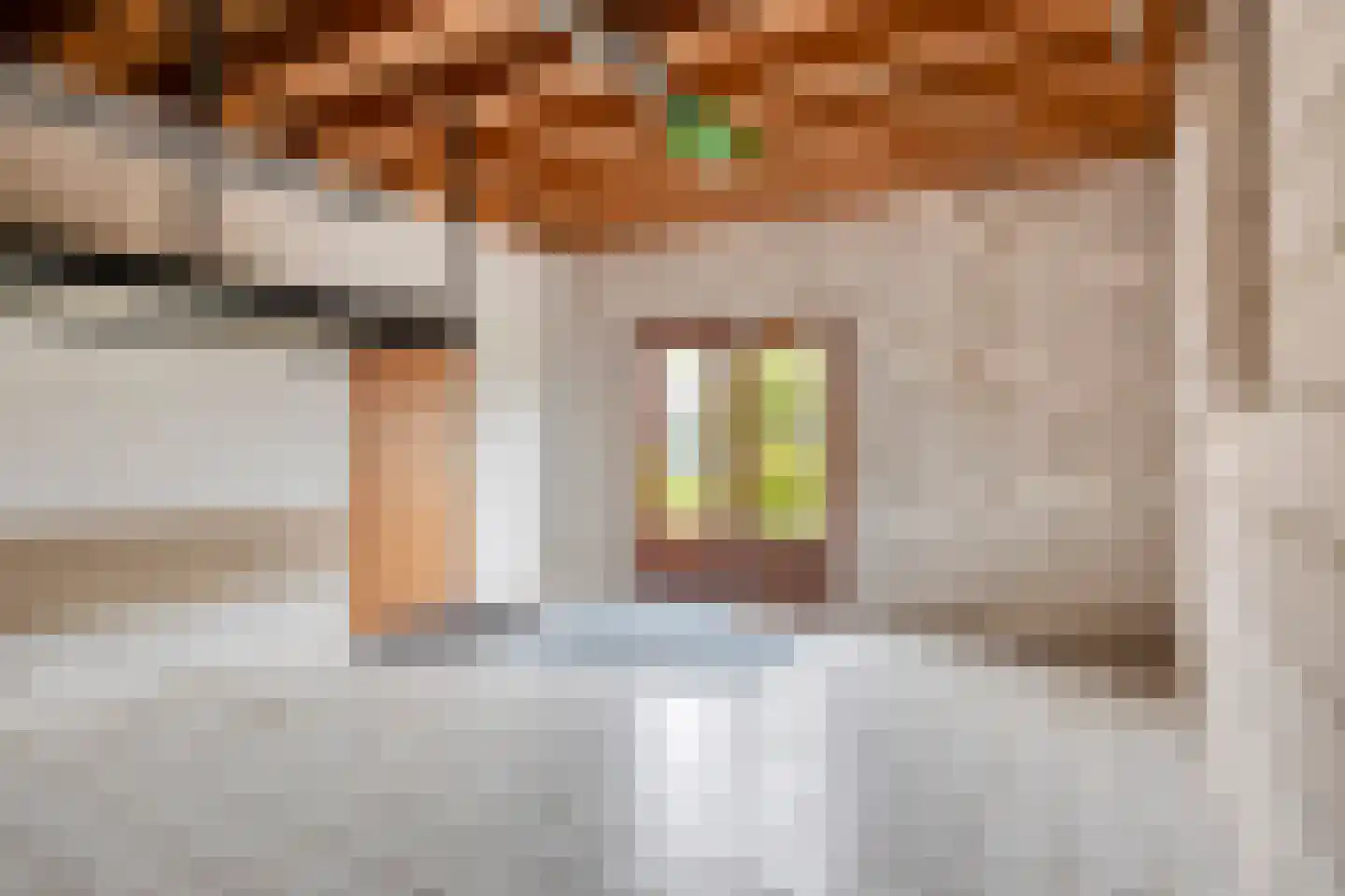 Nieuwstraat 35 Lage Zwaluwe thumbnail 29