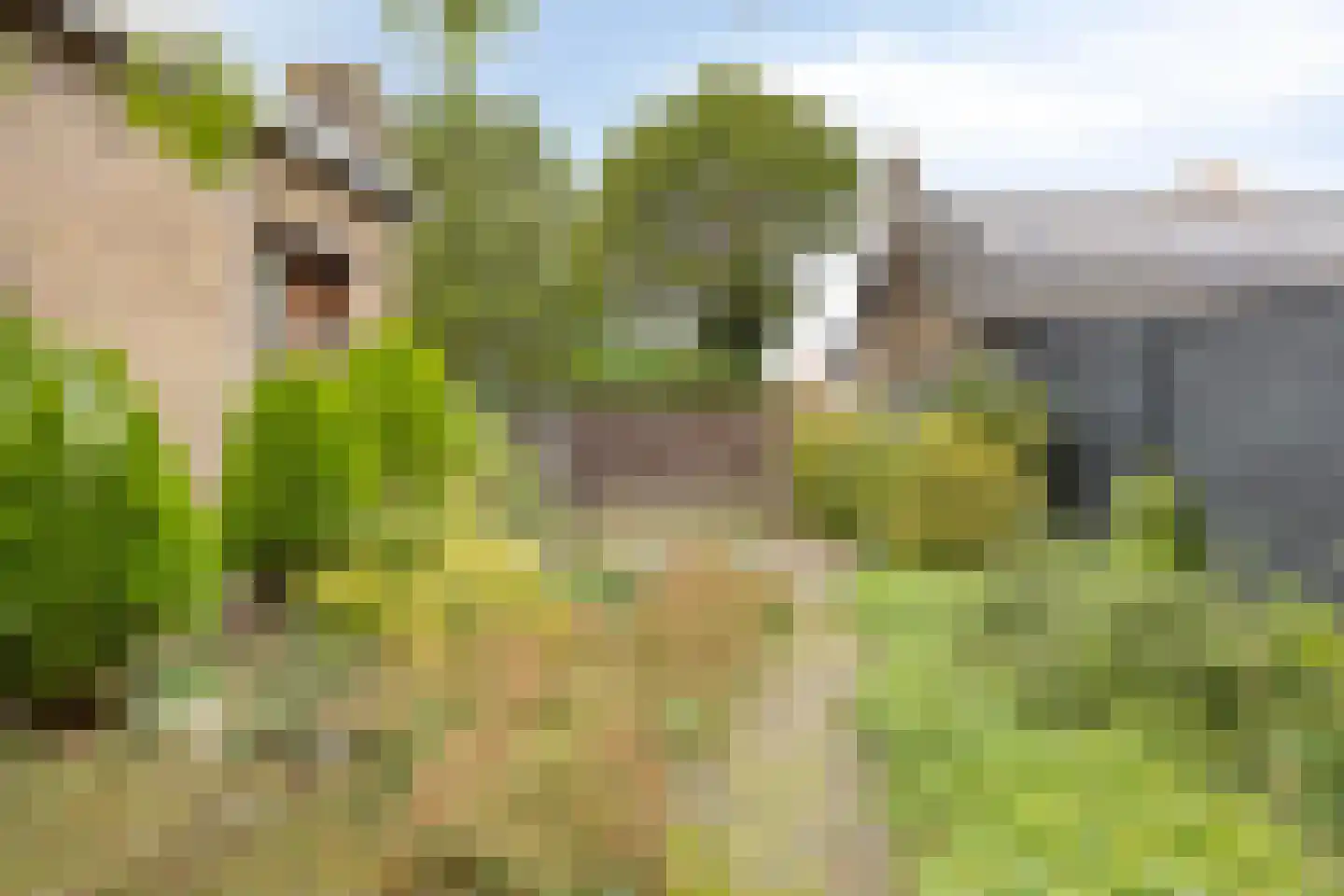 Nieuwstraat 35 Lage Zwaluwe thumbnail 32