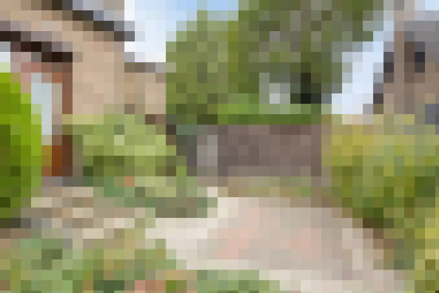 Nieuwstraat 35 Lage Zwaluwe thumbnail 33
