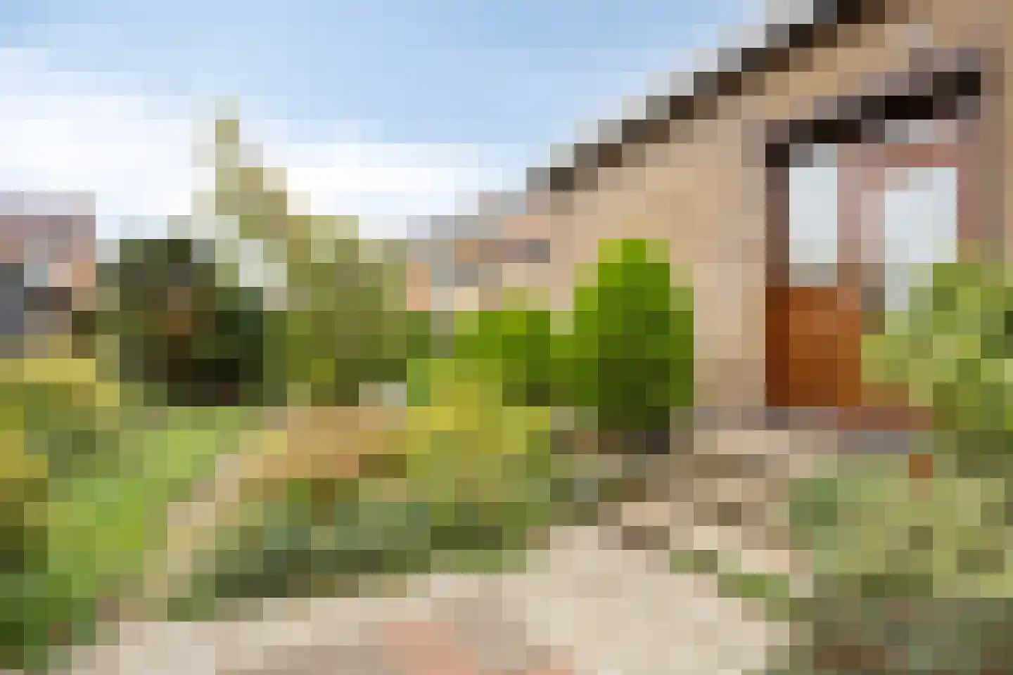 Nieuwstraat 35 Lage Zwaluwe thumbnail 34