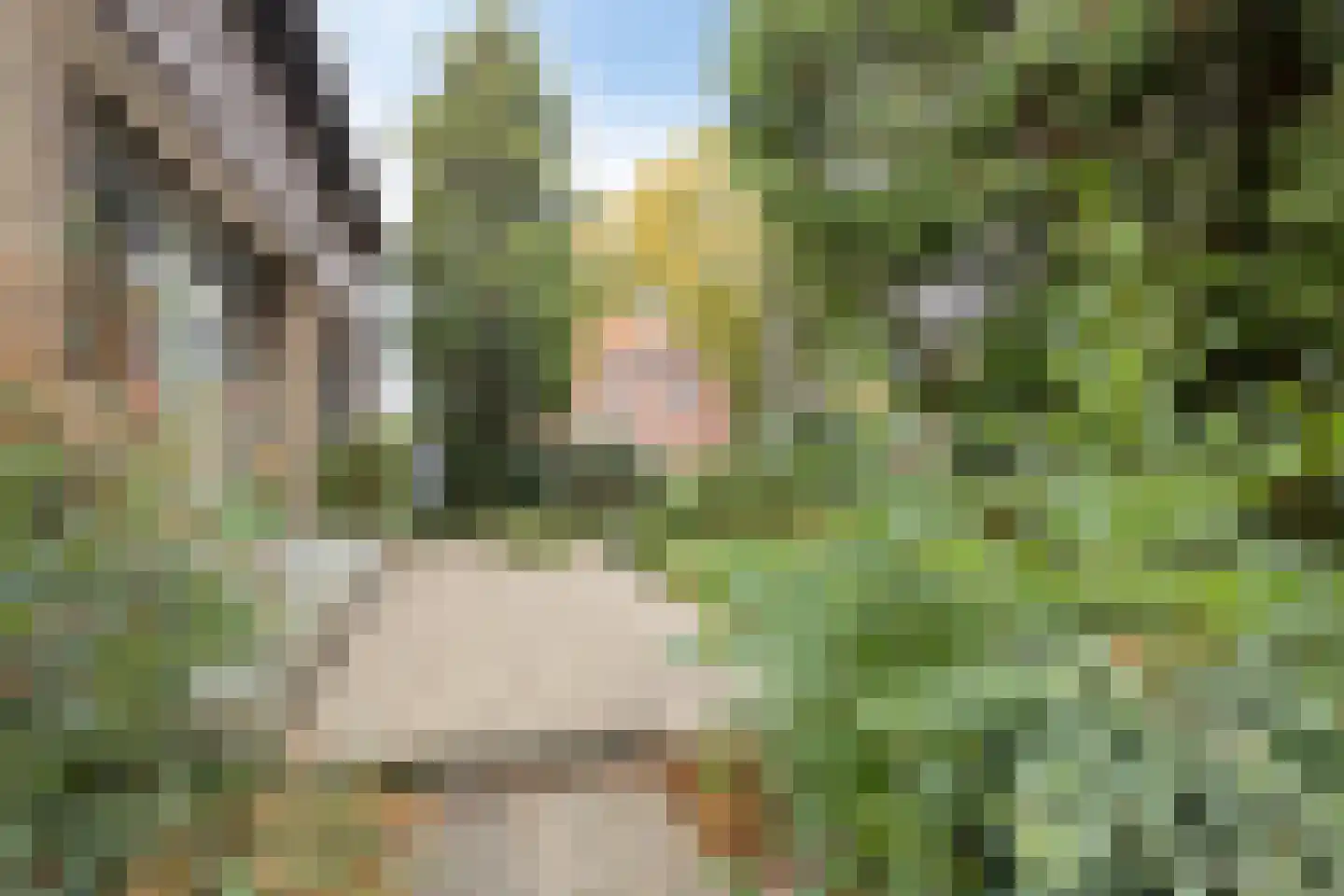 Nieuwstraat 35 Lage Zwaluwe thumbnail 37
