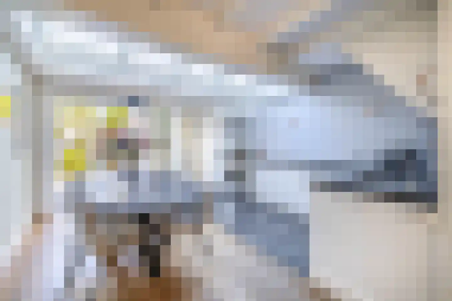 Nieuwstraat 35 Lisse thumbnail 11