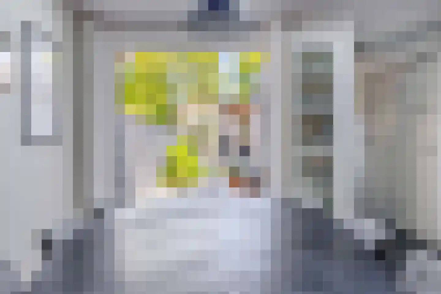Nieuwstraat 35 Lisse thumbnail 13