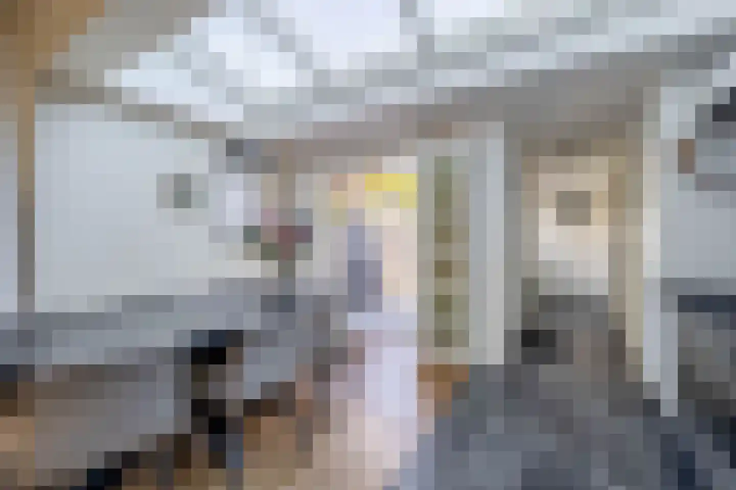 Nieuwstraat 35 Lisse thumbnail 14