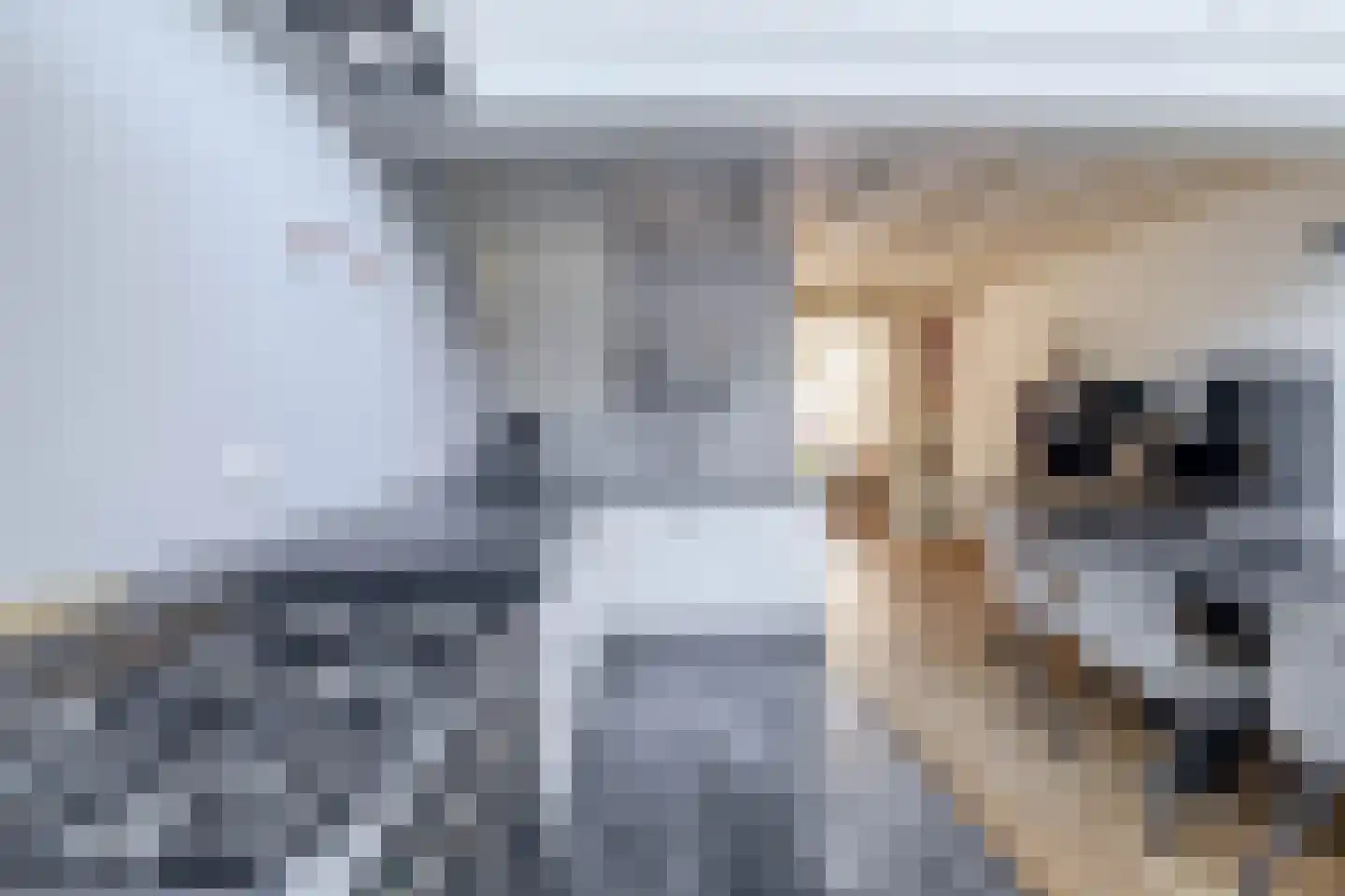 Nieuwstraat 35 Lisse thumbnail 16