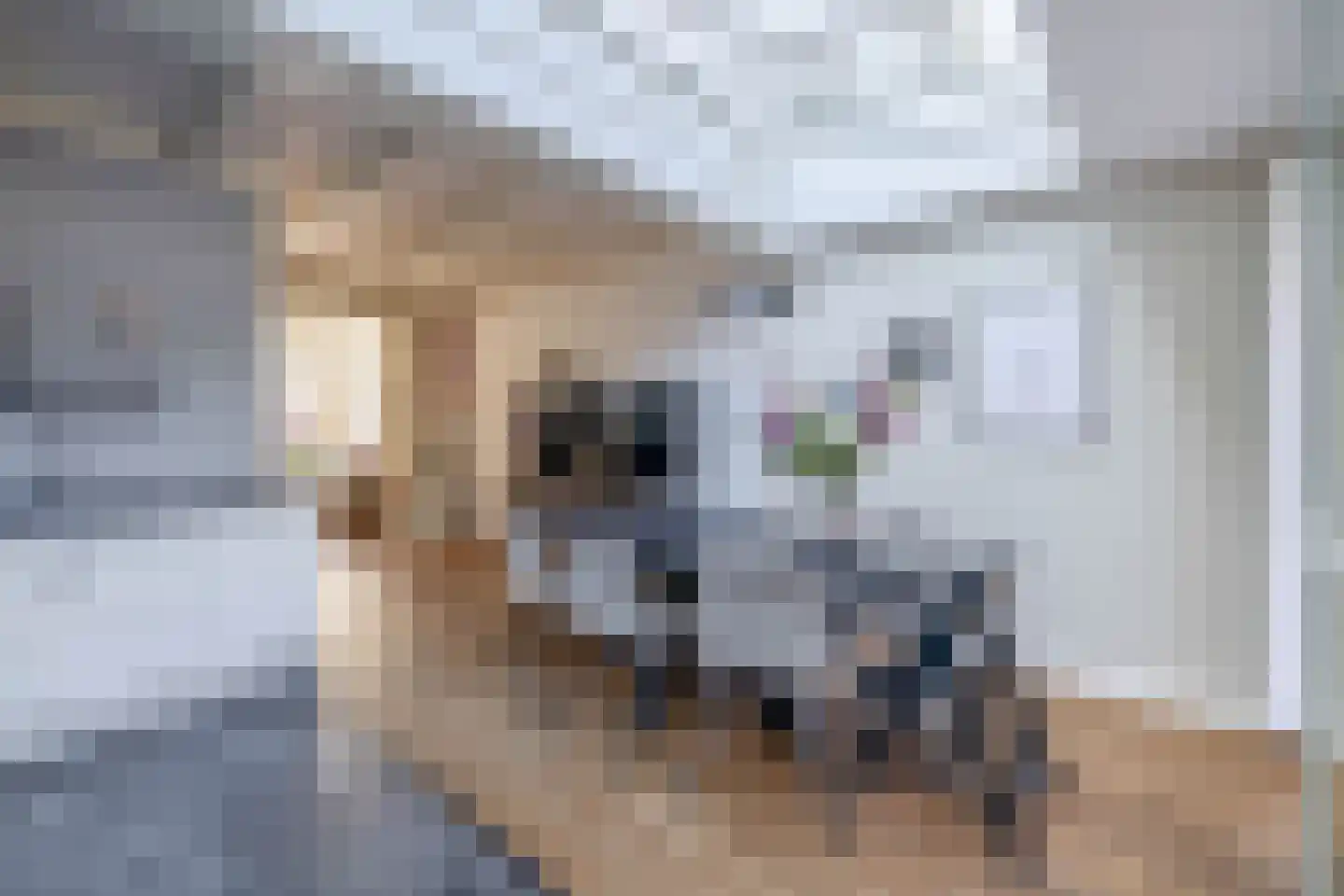 Nieuwstraat 35 Lisse thumbnail 17
