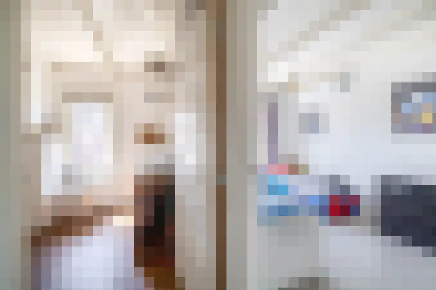 Nieuwstraat 35 Lisse thumbnail 20