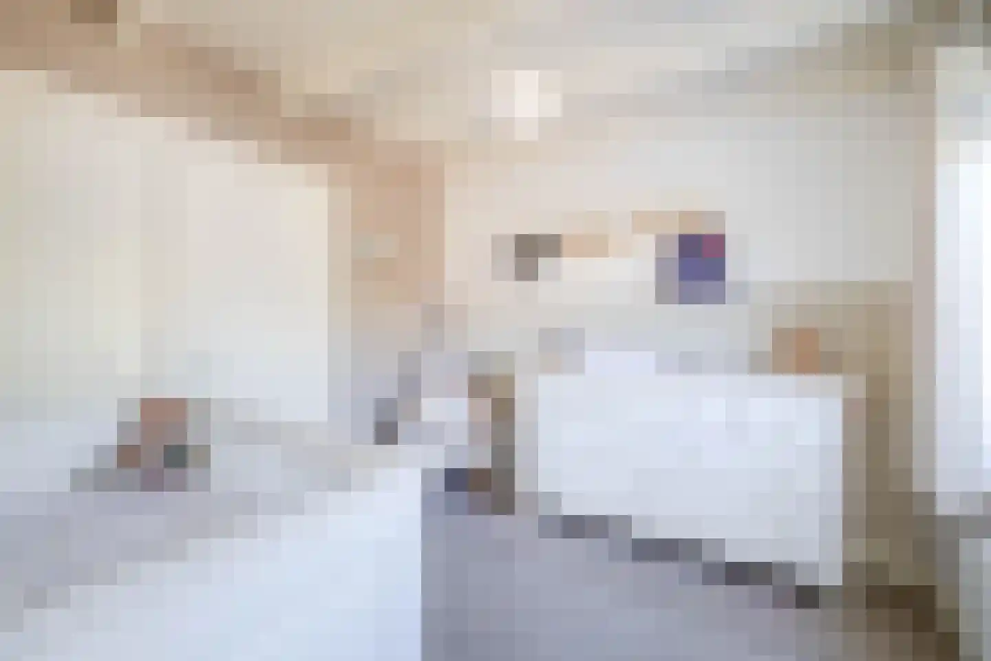Nieuwstraat 35 Lisse thumbnail 22