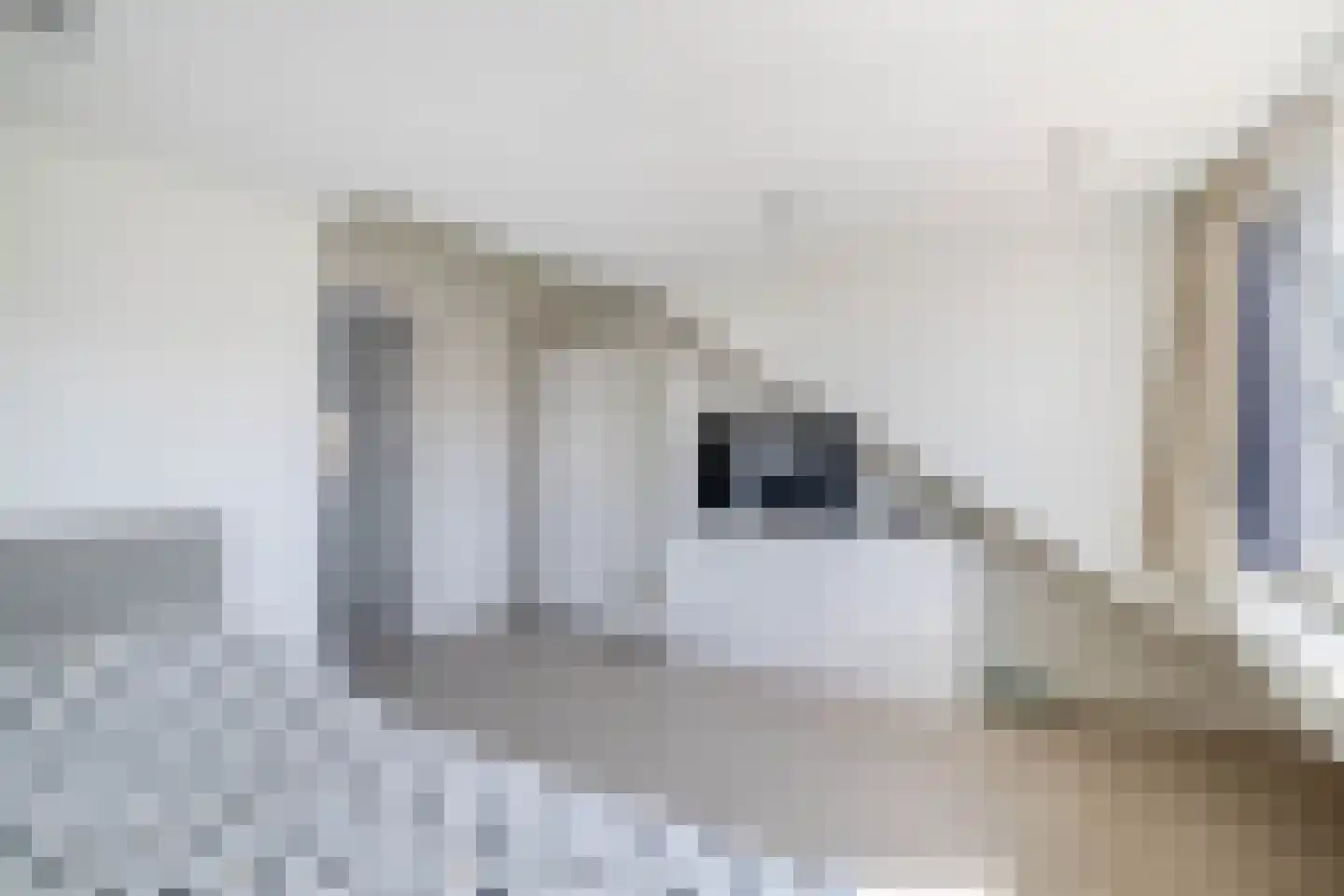Nieuwstraat 35 Lisse thumbnail 30