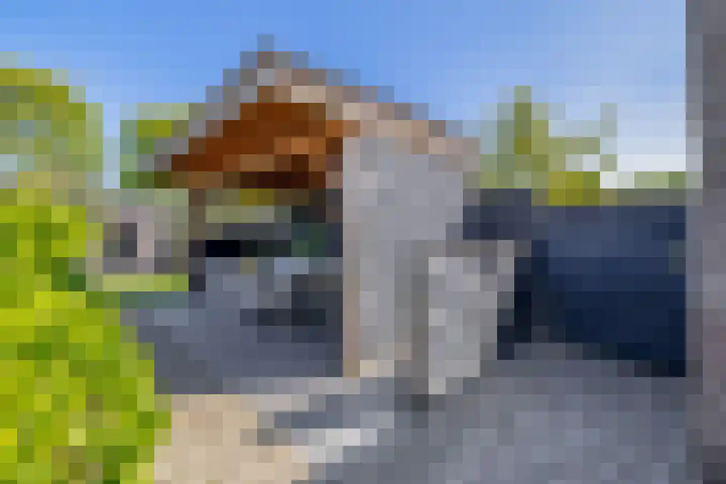 Nieuwstraat 35 Lisse thumbnail 32