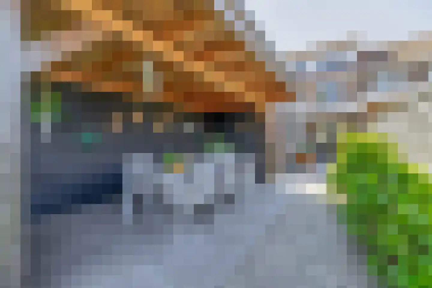 Nieuwstraat 35 Lisse thumbnail 34