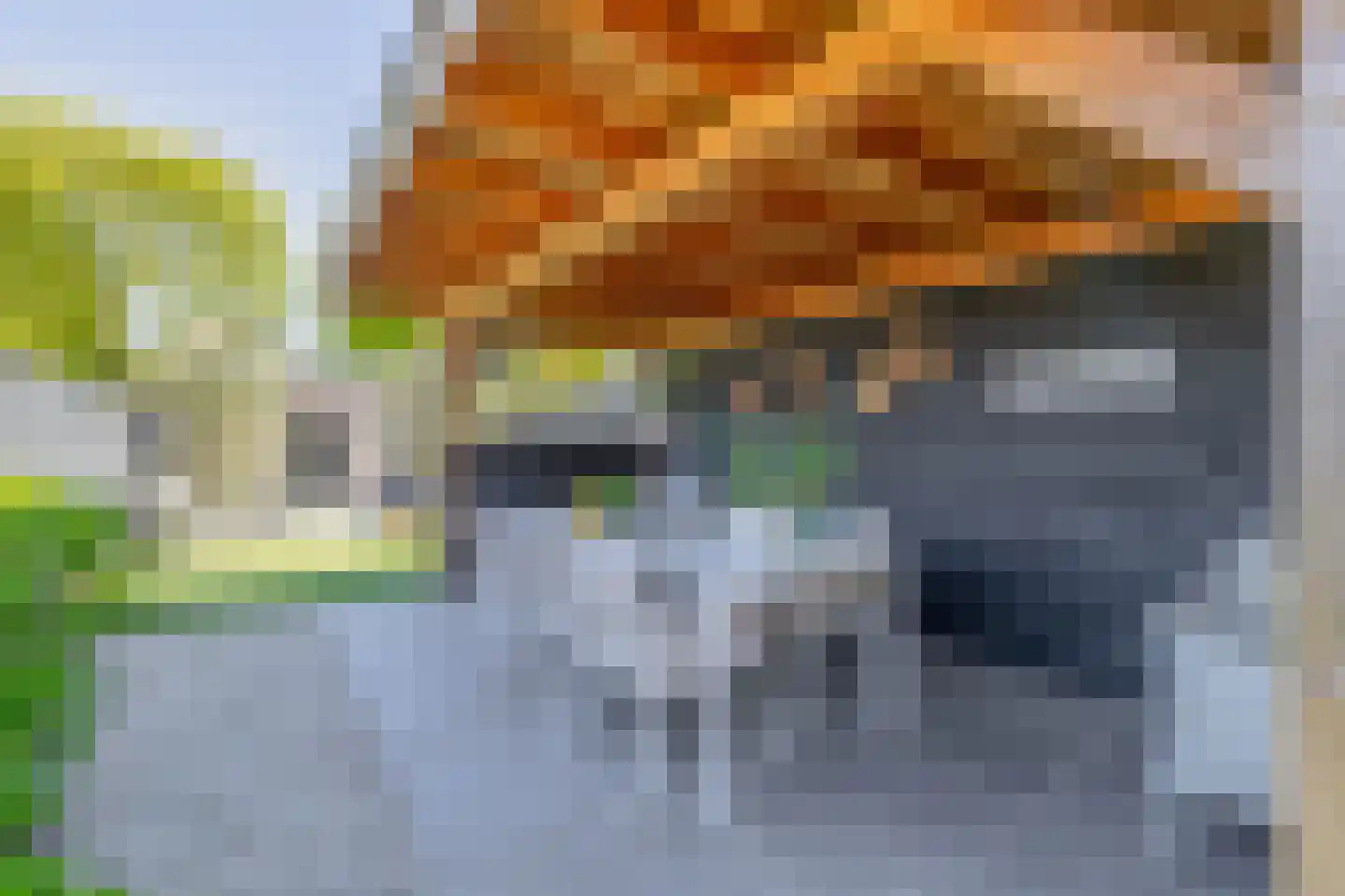 Nieuwstraat 35 Lisse thumbnail 35