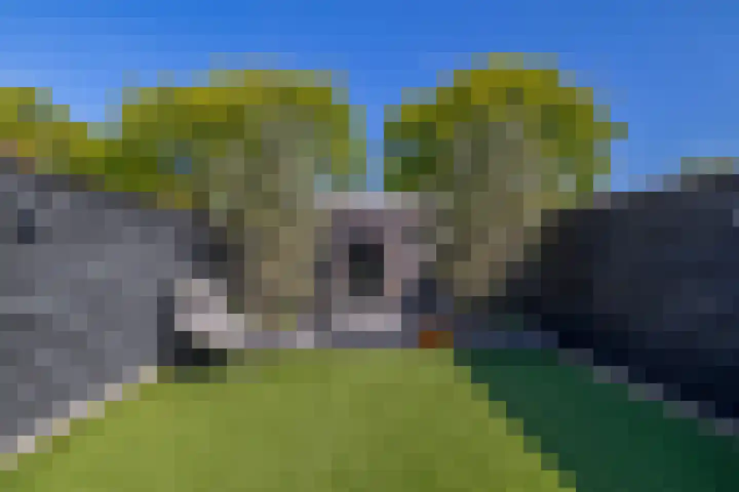 Nieuwstraat 35 Lisse thumbnail 37