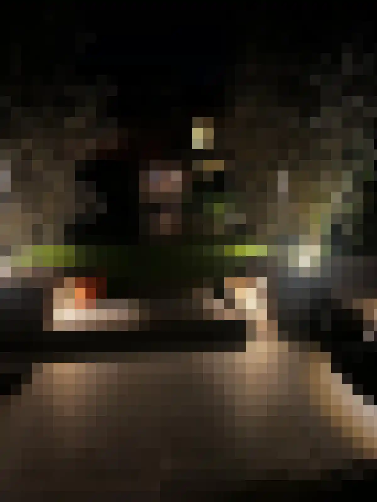 Nieuwstraat 35 Lisse thumbnail 38
