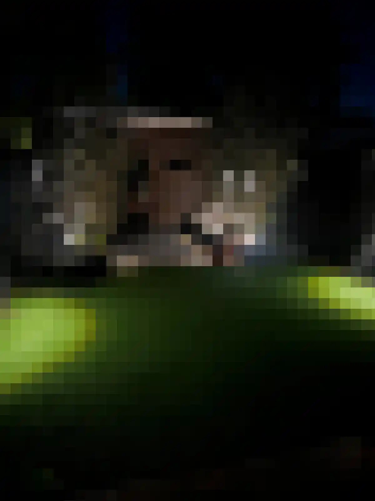 Nieuwstraat 35 Lisse thumbnail 39