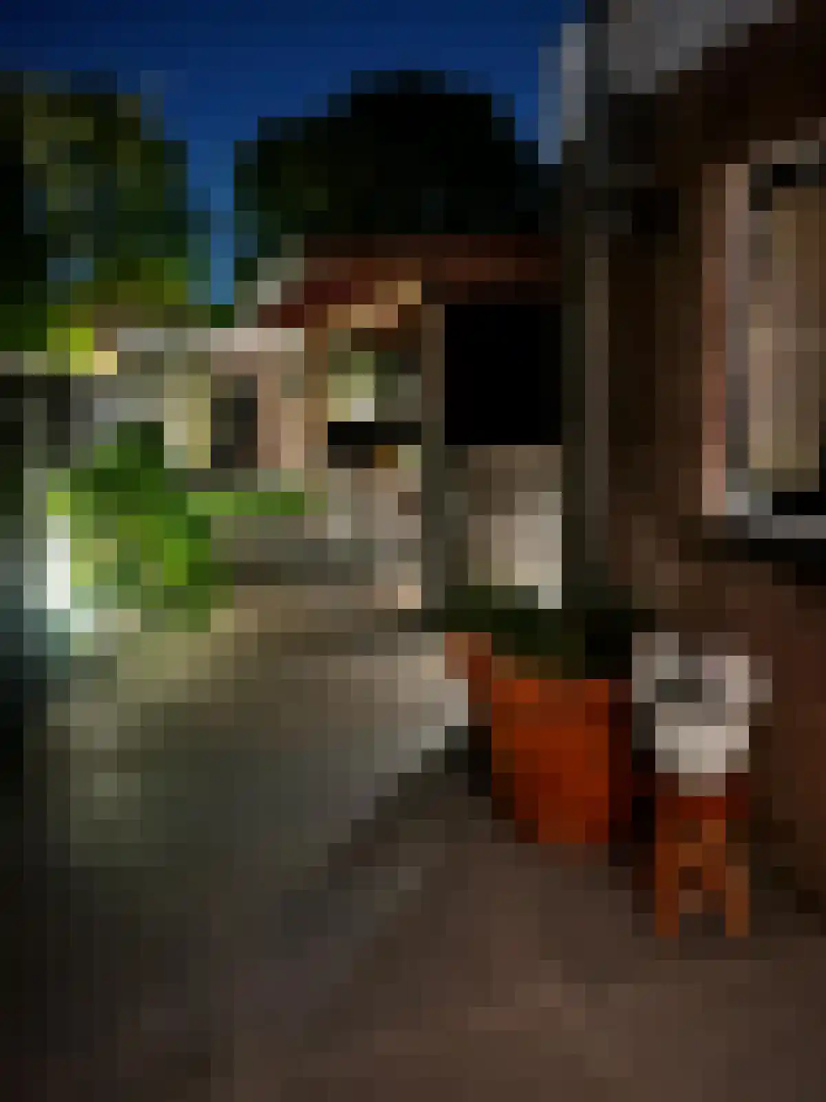 Nieuwstraat 35 Lisse thumbnail 40