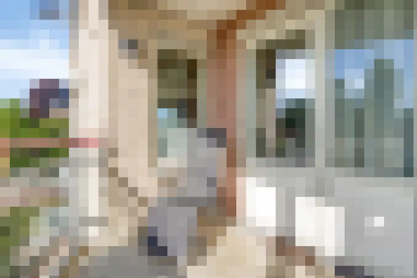 Nieuwstraat 36 Breskens thumbnail 21