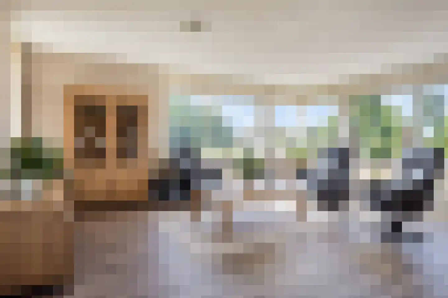 Nieuwstraat 36 Breskens thumbnail 7