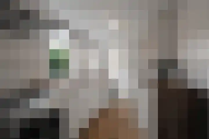 Nieuwstraat 36 Den Helder thumbnail 12