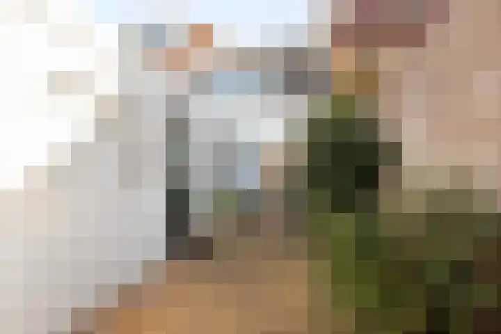 Nieuwstraat 36 Den Helder thumbnail 18