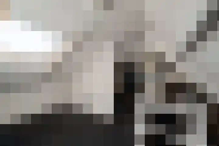 Nieuwstraat 36 Den Helder thumbnail 31
