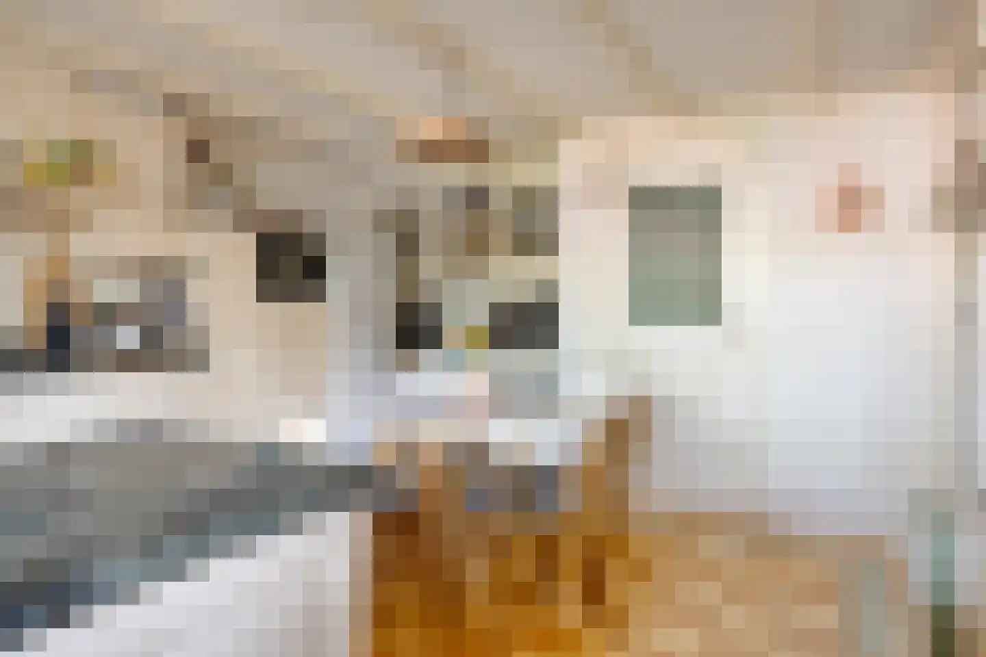 Nieuwstraat 36 Oostburg thumbnail 10