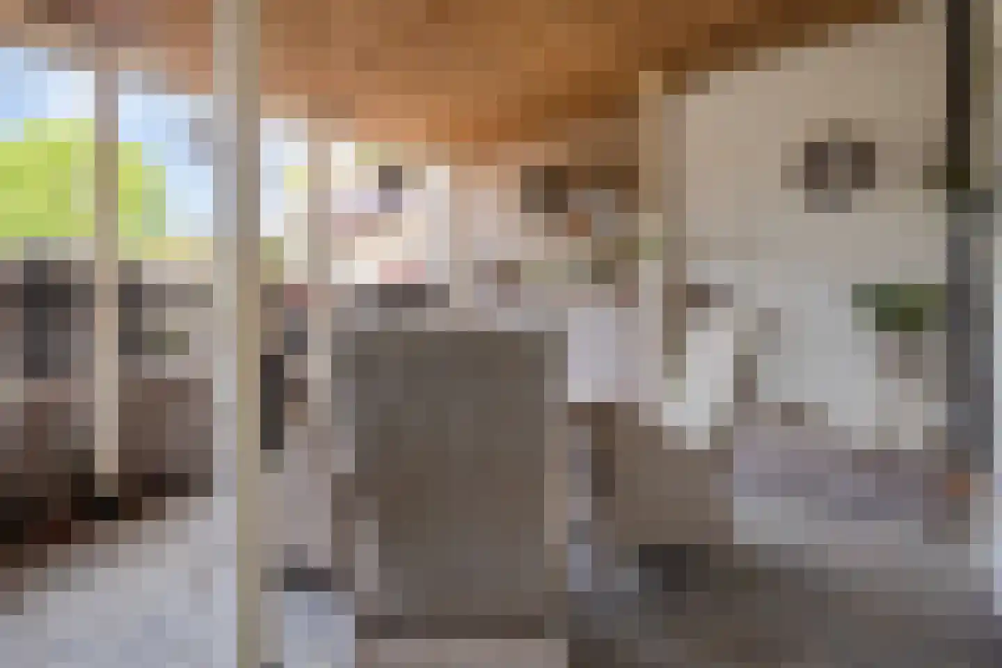 Nieuwstraat 36 Oostburg thumbnail 24