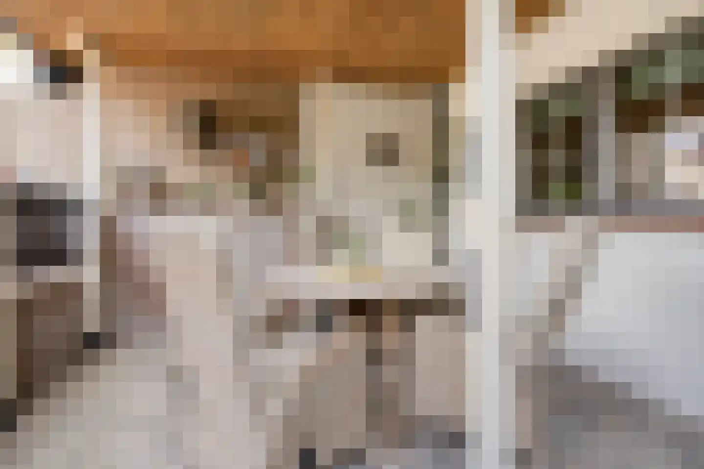 Nieuwstraat 36 Oostburg thumbnail 25