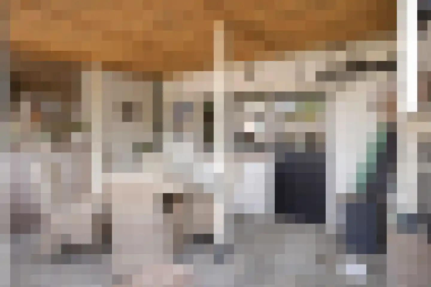Nieuwstraat 36 Oostburg thumbnail 26