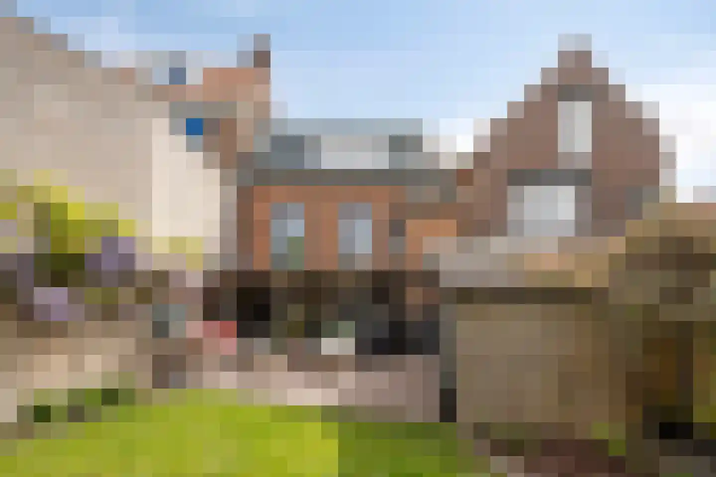 Nieuwstraat 36 Oostburg thumbnail 28