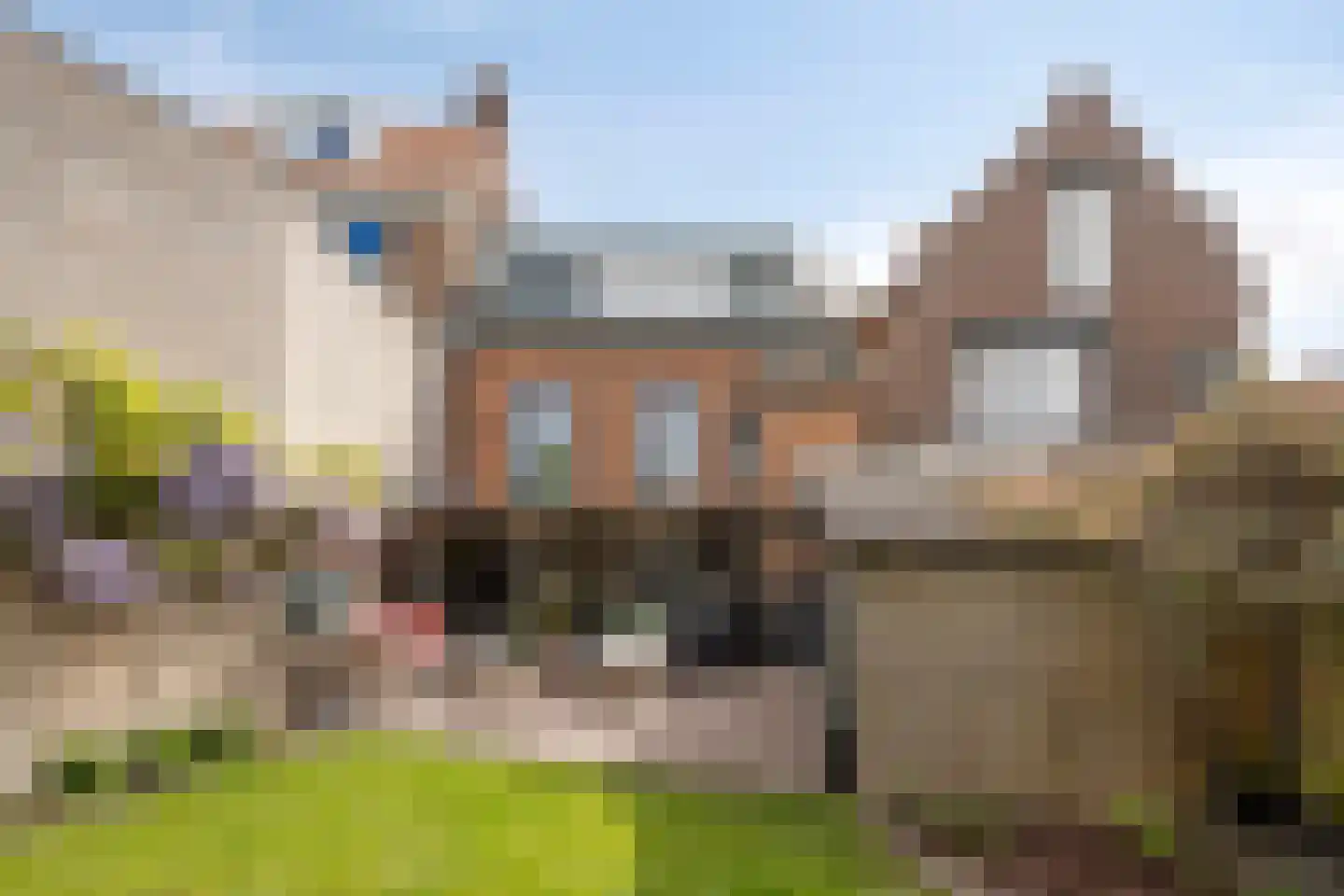 Nieuwstraat 36 Oostburg thumbnail 28